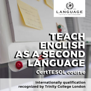 teacher training info